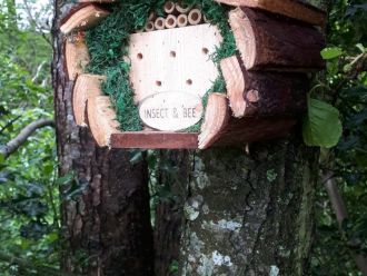 Insect  bee hotel